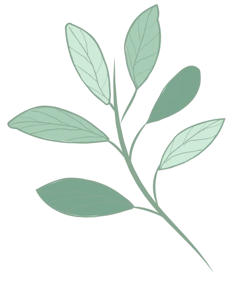 Taskmen-LTD about-shape